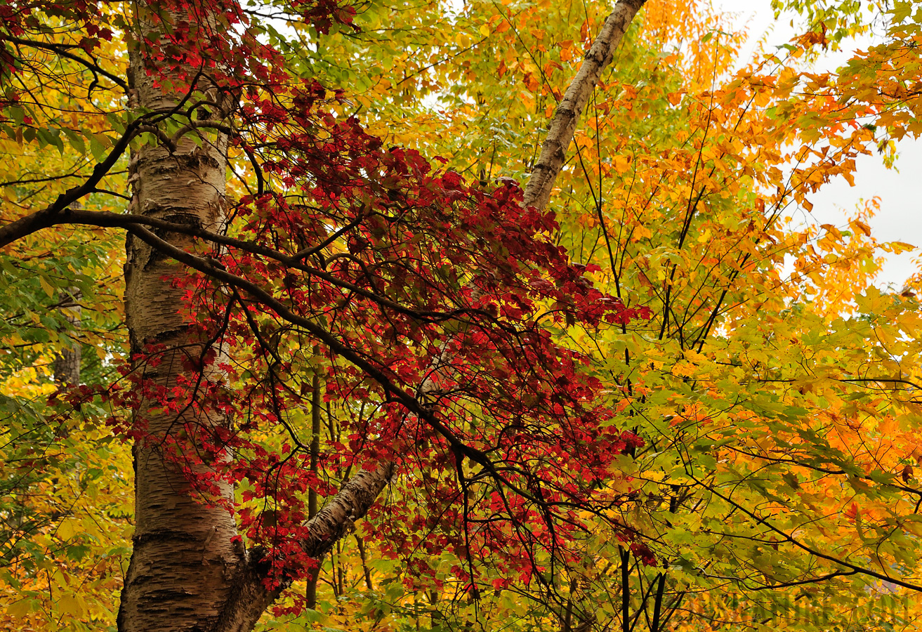 Jericho Mountain State Park [98 mm, 1/500 Sek. bei f / 8.0, ISO 1600]